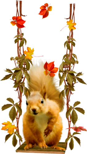 őszi állatok_9.png